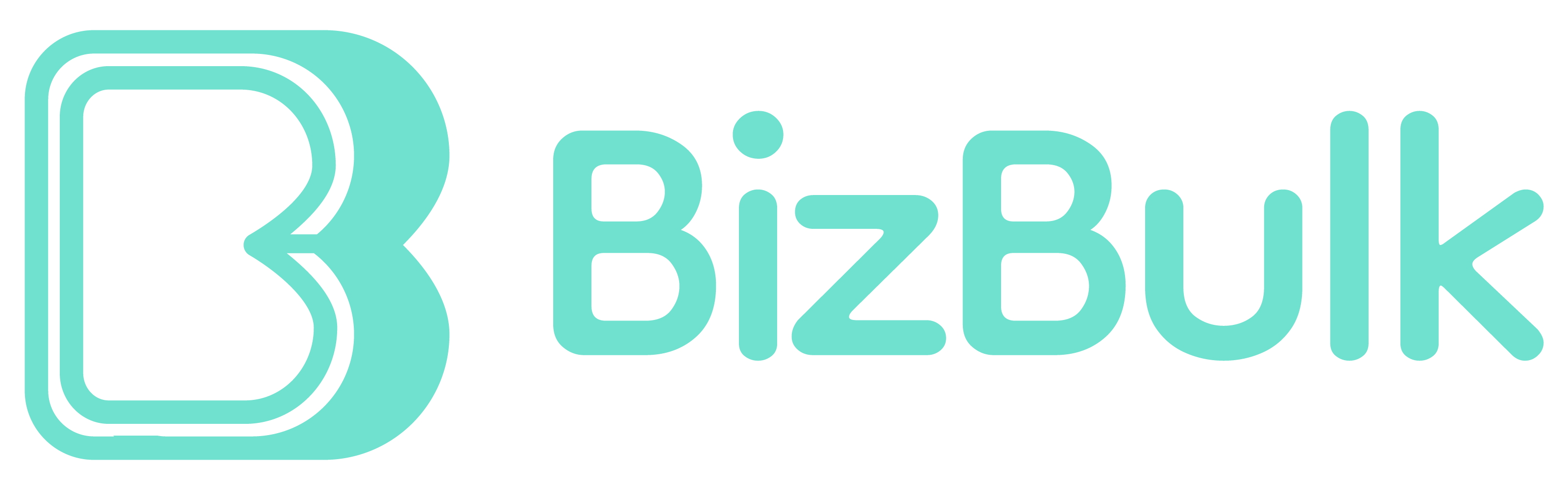 Bizbulk